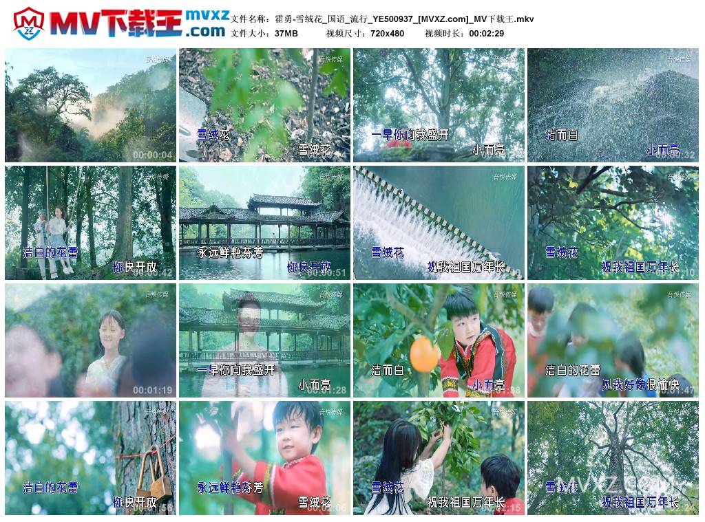 霍勇-雪绒花_国语_流行_YE500937